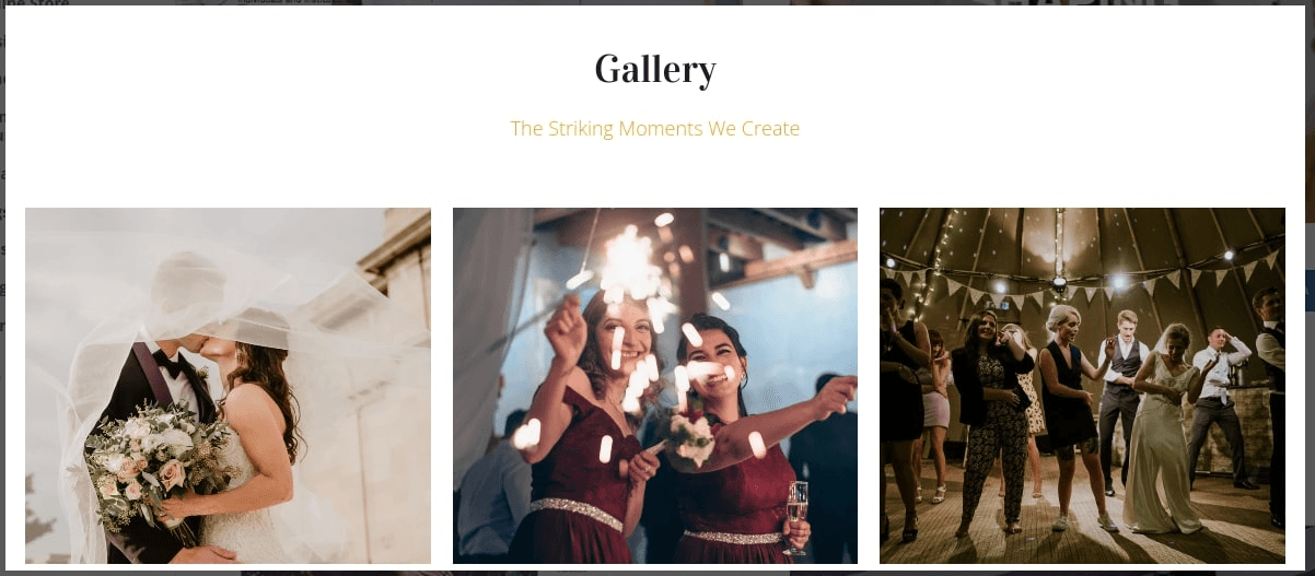 null website-template-to-showcase-your-vlogs